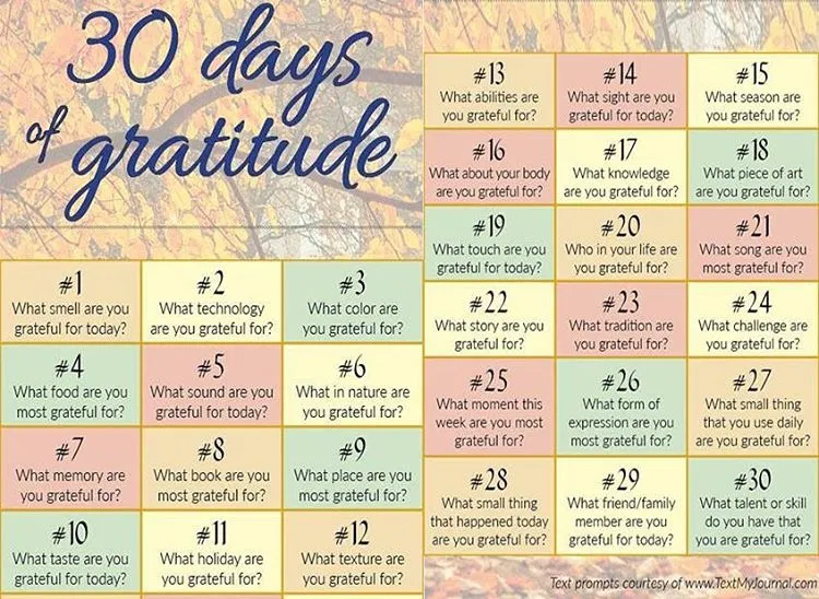 Hai mai provato i 30 giorni di gratitudine?, Articoli